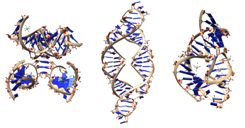 File:Ribozyme structure picutres.png