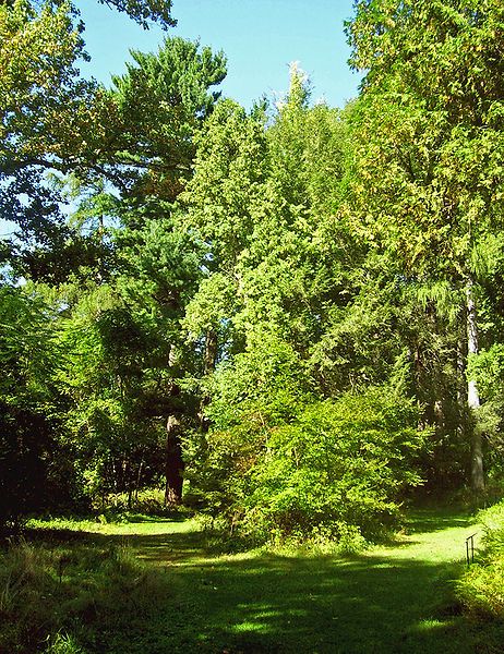 File:Springside landscape.jpg