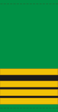 File:09.Mali Army-MAJ.svg