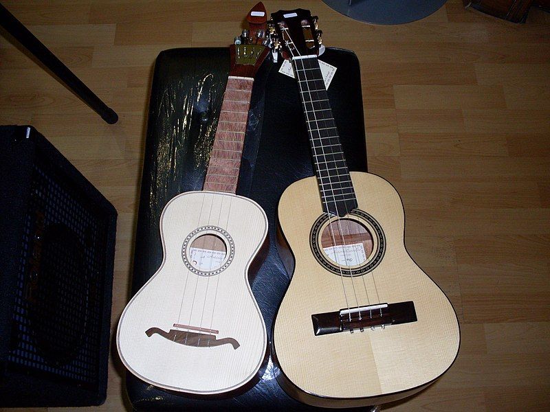 File:2 cavaquinhos 3.jpg