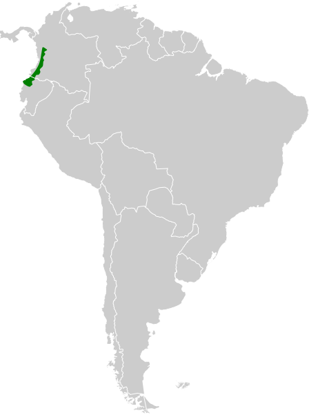 File:Geotrygon purpurata map.svg