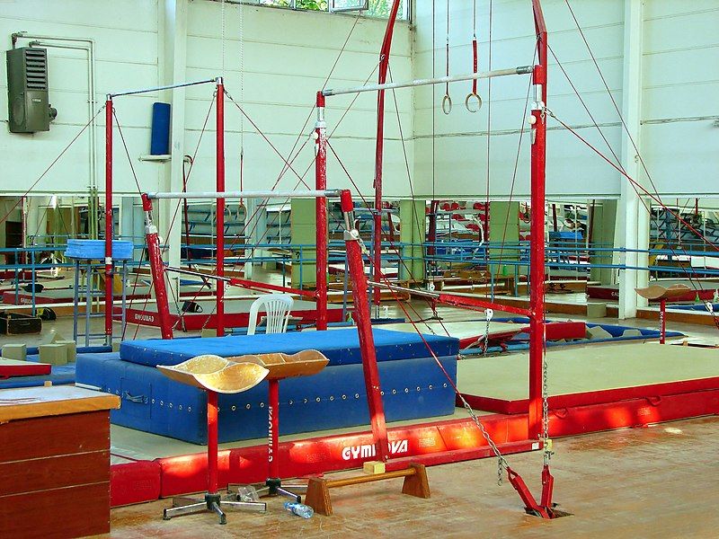 File:Gymnastics-Facility-07888-nevit.jpg