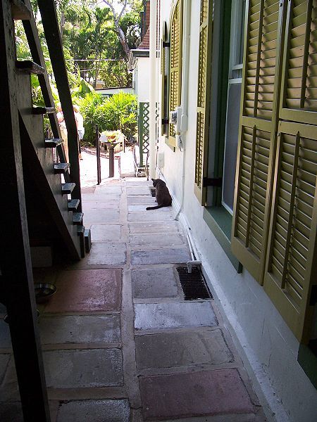 File:HemingwayAlleyCat.jpg