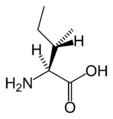 L-Isoleucine (Ile / I)