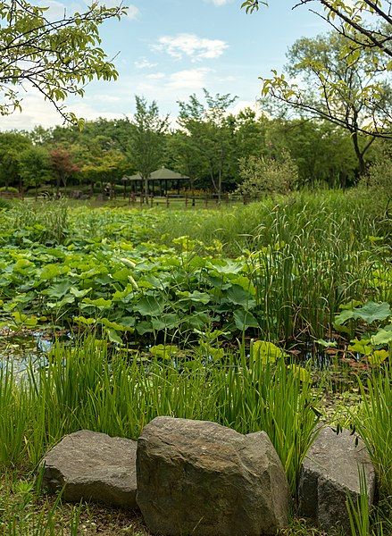 File:Lydon daejeon-arboretum-lagoon.jpg