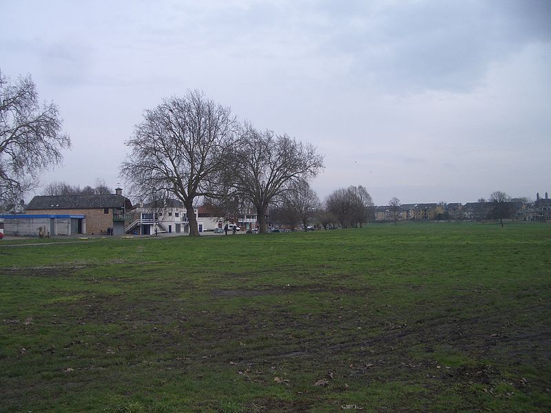 File:Midsummercommon.jpg