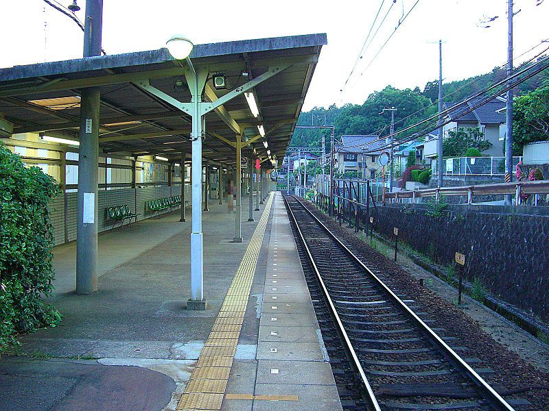 File:NS-TokiwadaiStation-Platform.jpg