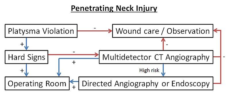 File:PNI Protocol.jpg