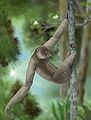 Palaeopropithecus ingens