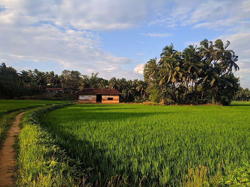 File:Palakkad-Ottapalam.jpg