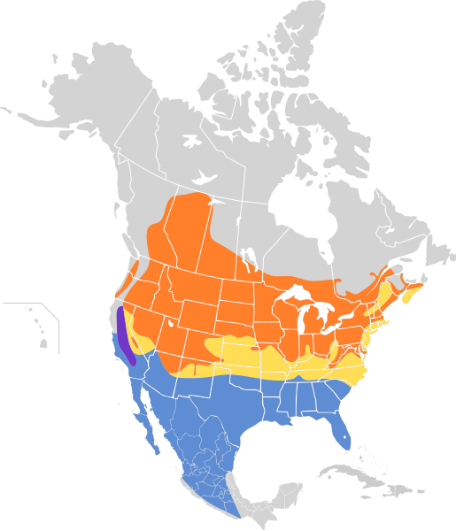 File:Pooecetes gramineus map.svg