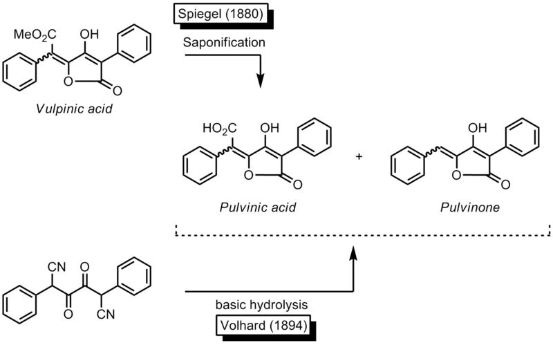 File:Pulvinone-FirstSyntheses.png