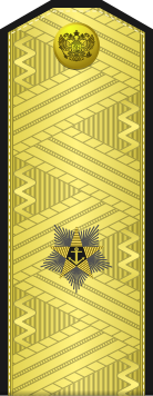 File:Russia-Navy-OF-6-1994-parade.svg