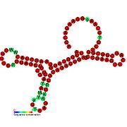 TLS-PK1: Secondary structure taken from the Rfam database. Family RF01075. Derived from Pseudobase PKB00138 PKB00164