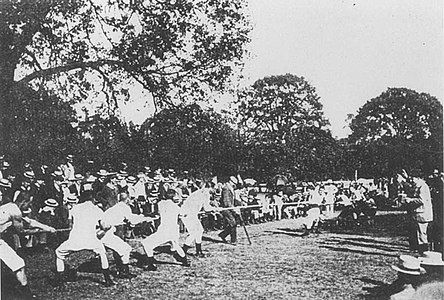 A combined Swedish-Danish team defeated France in the Olympic Tug-of-War competition