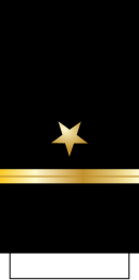 File:US-Navy-Sleeve-O1-ENS.svg