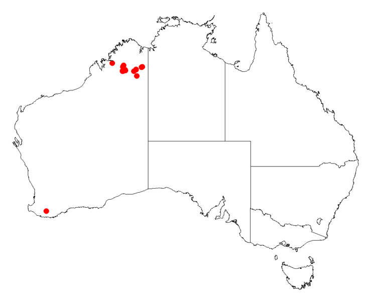 File:Acacia anasillaDistMap40.png