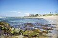 Angourie Beach, Australia