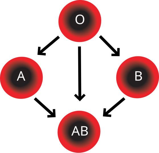 File:Blood Compatibility.svg