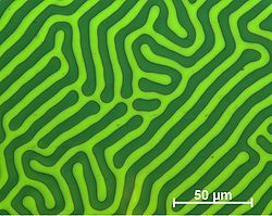 Domain structure of an exemplary meander domain (recorded using CMOS-MagView)