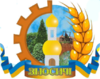 Coat of arms of Nemovychi