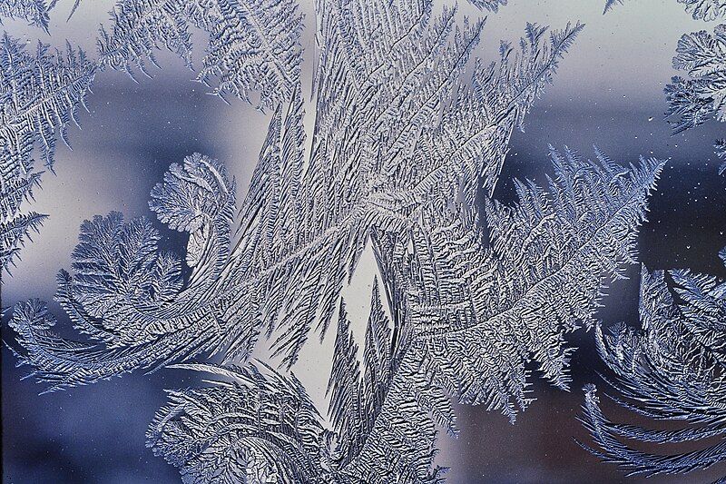 File:Frost patterns 4.jpg