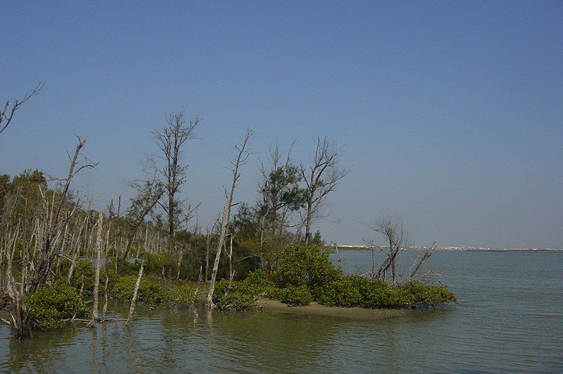 File:Haomeiliao Wetland03.jpg