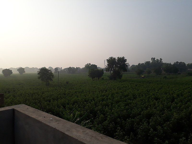 File:Haryana takhatmal.jpg