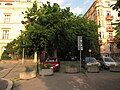 One end of the street is terminated by concrete pots