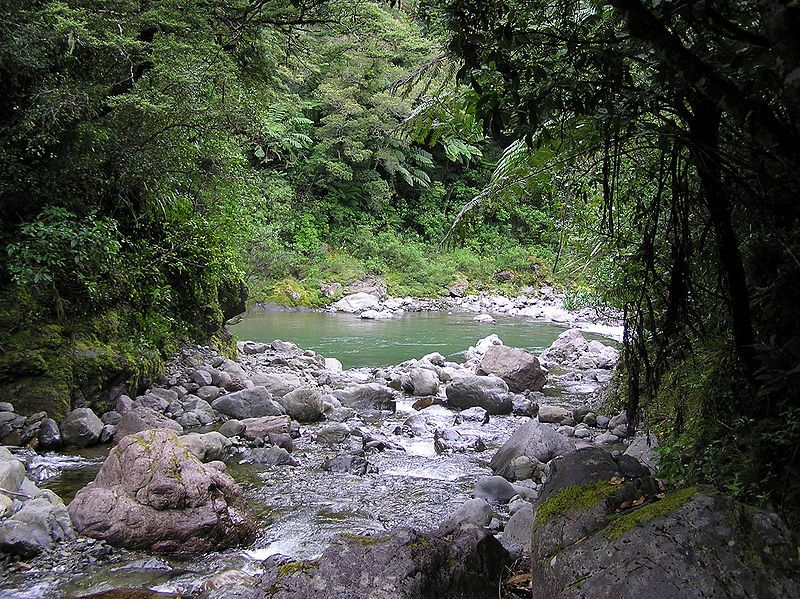 File:New-zealand-tararuas-clem-creek-waiohine-river.jpg