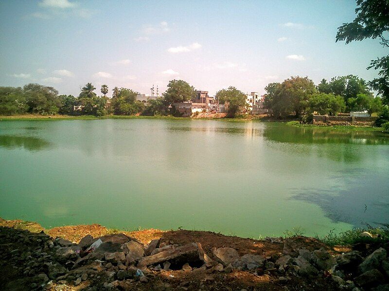 File:Pinapadu pond.jpg