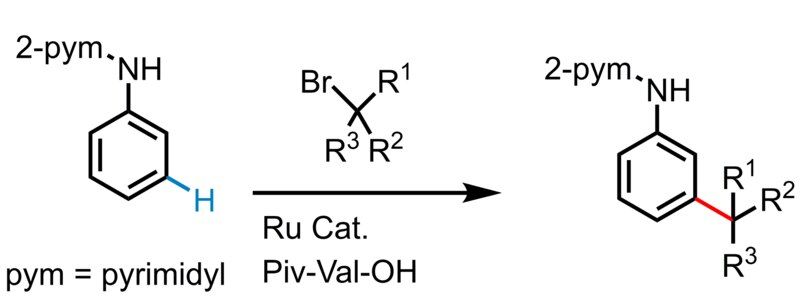 File:Reaction 12.tif