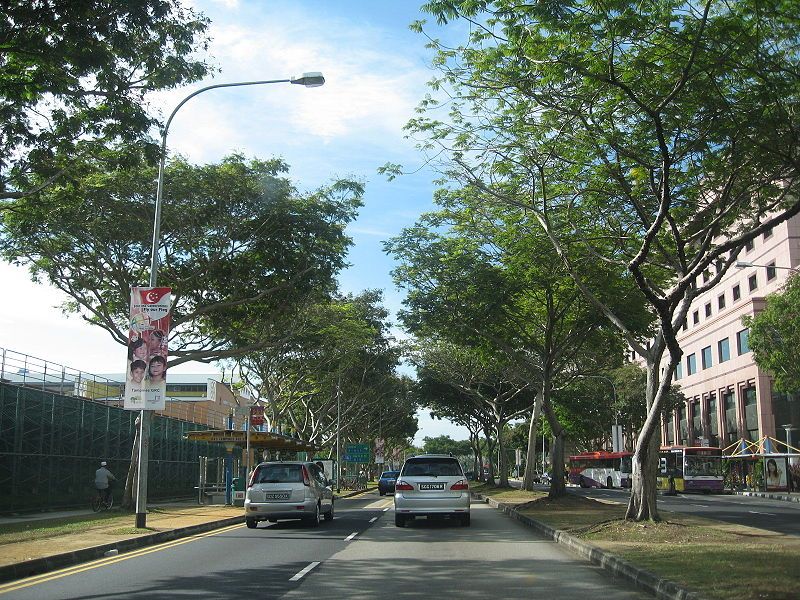 File:Tampines Avenue 5.JPG