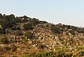 Tinos, Volax landscape