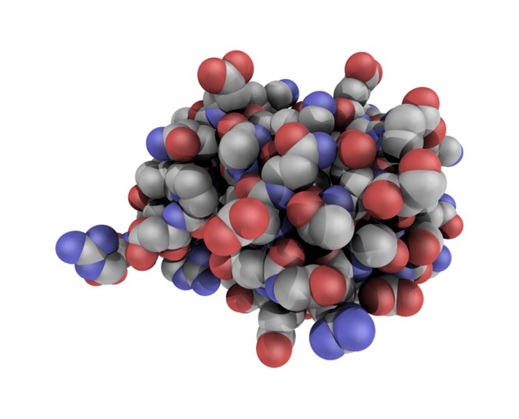 File:Ubiquitin spheres.png