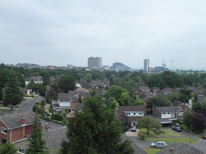 File:Woking Skyline.JPG