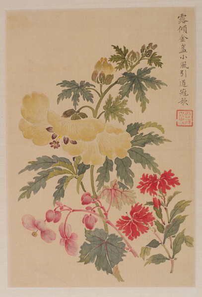 File:金礼嬴花卉册.png