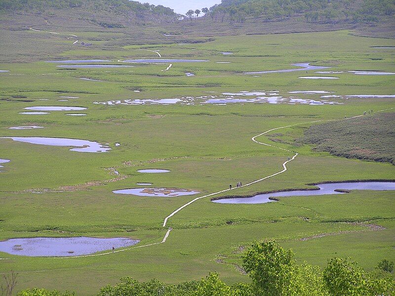 File:雨竜沼P7020083.JPG