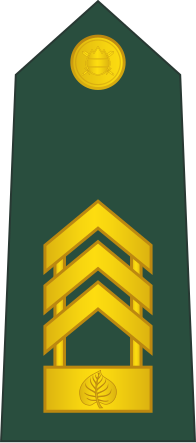 File:10-Slovenian Army-CSM.svg