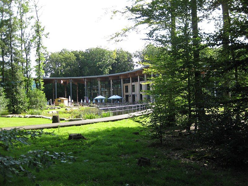 File:Atrium in Orscholz.jpg