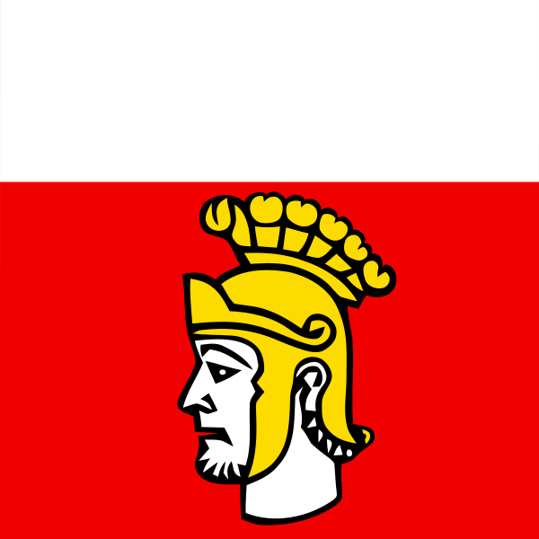 File:CHE Poliez-Pittet Flag.svg