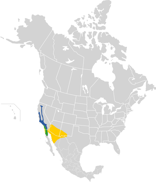 File:Carduelis lawrencei map.svg