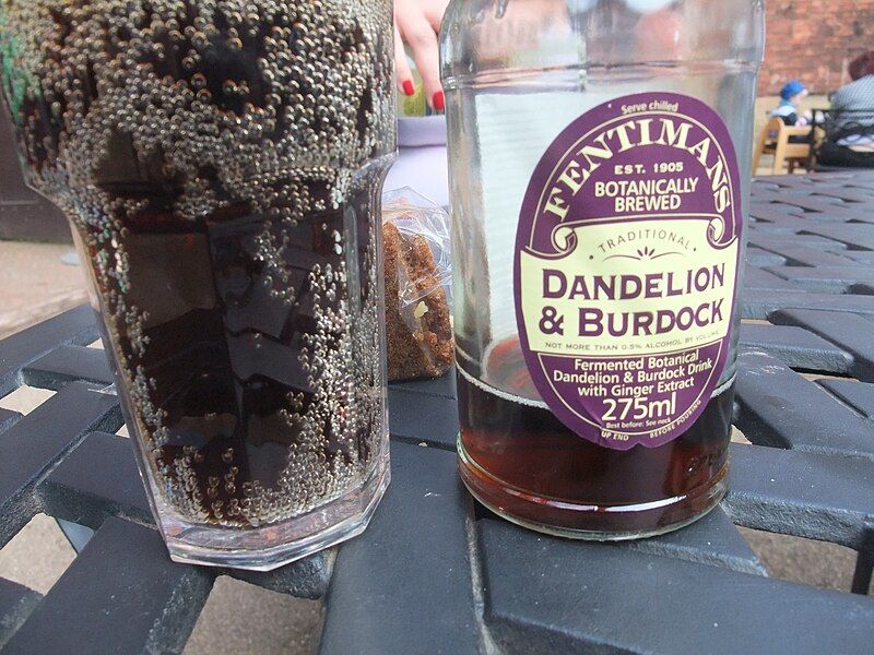 File:Dandelion and burdock.jpg