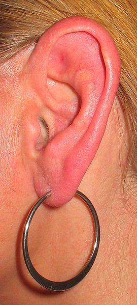 File:Ear with earring.jpg