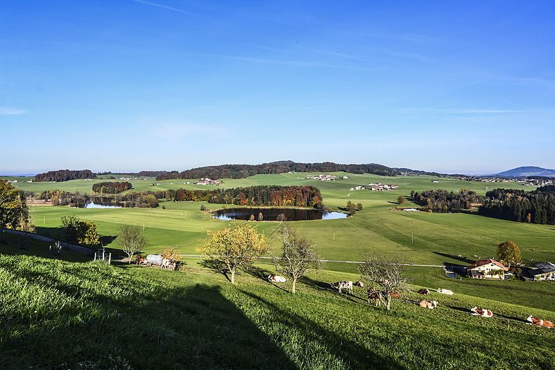 File:Egelseen Mattsee Österreich.jpg