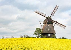 The Farver Mühle, a windmill in Wangels