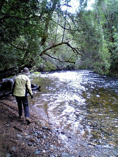 File:Franklin River Tasmania.jpg