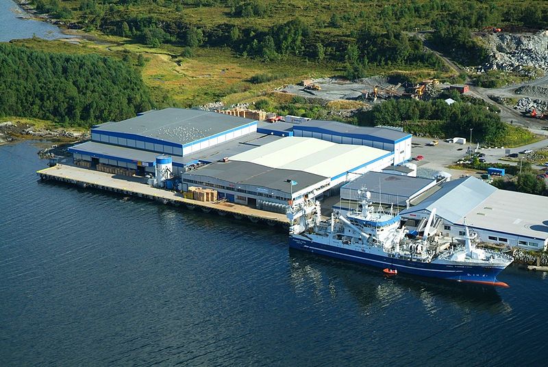 File:Liavåg plant.jpg