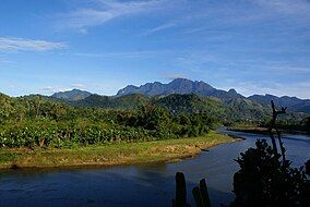 A river cuts through a forest that blankets the base of a mountain range, with a massive mountain range in the background