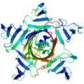 ...with gfp in the middle to make it more barnstary. Zephyris 12:19, 3 November 2006 (UTC)